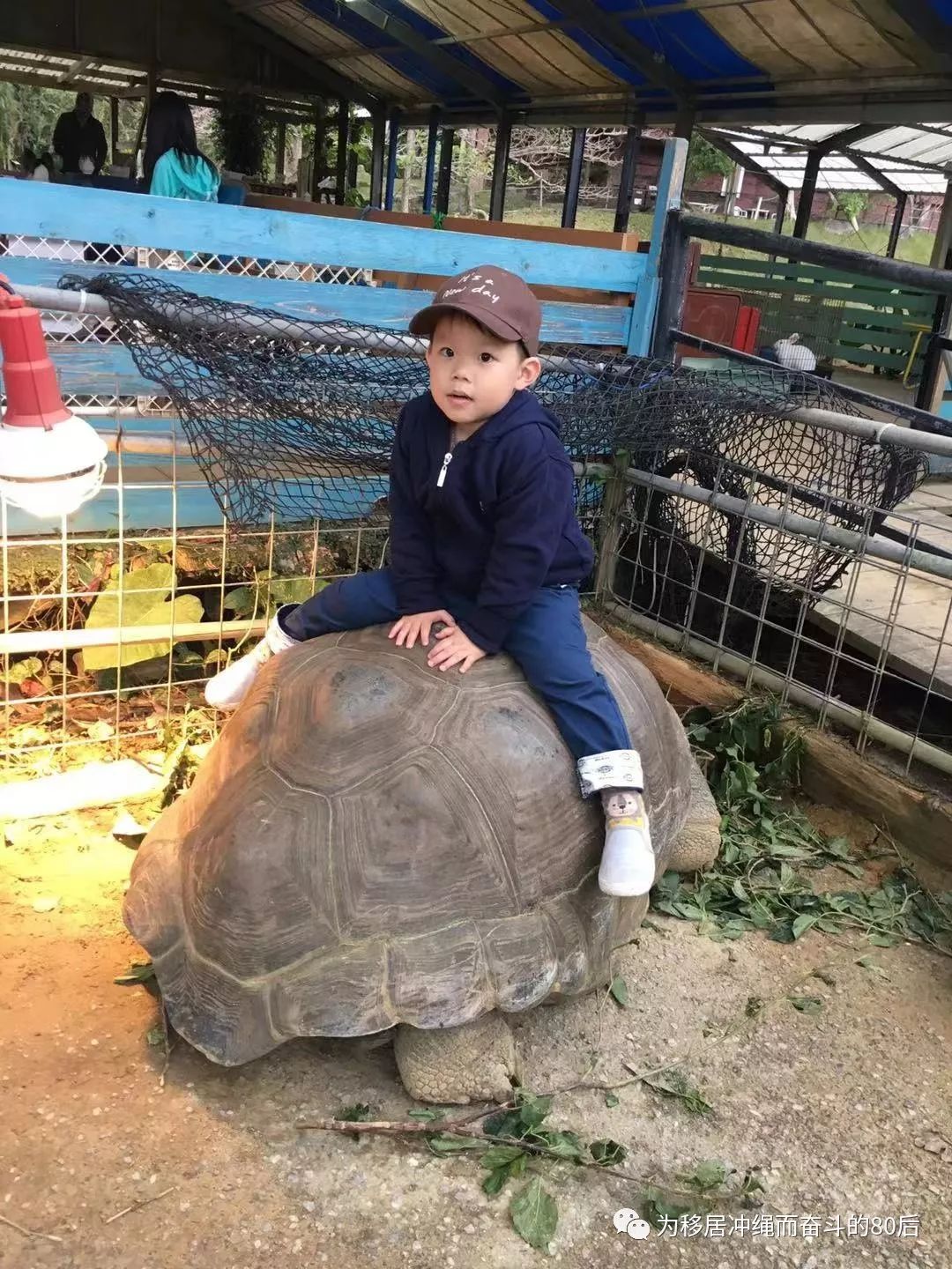 12月份冲绳攻略,移居冲绳条件