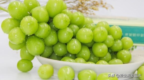 推荐小成本创业点子,推荐零成本创业点子