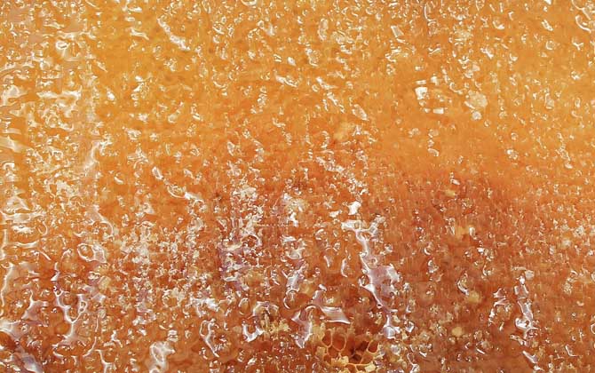 最好的蜂蜜是什么牌的,俄罗斯蜂蜜是什么蜜