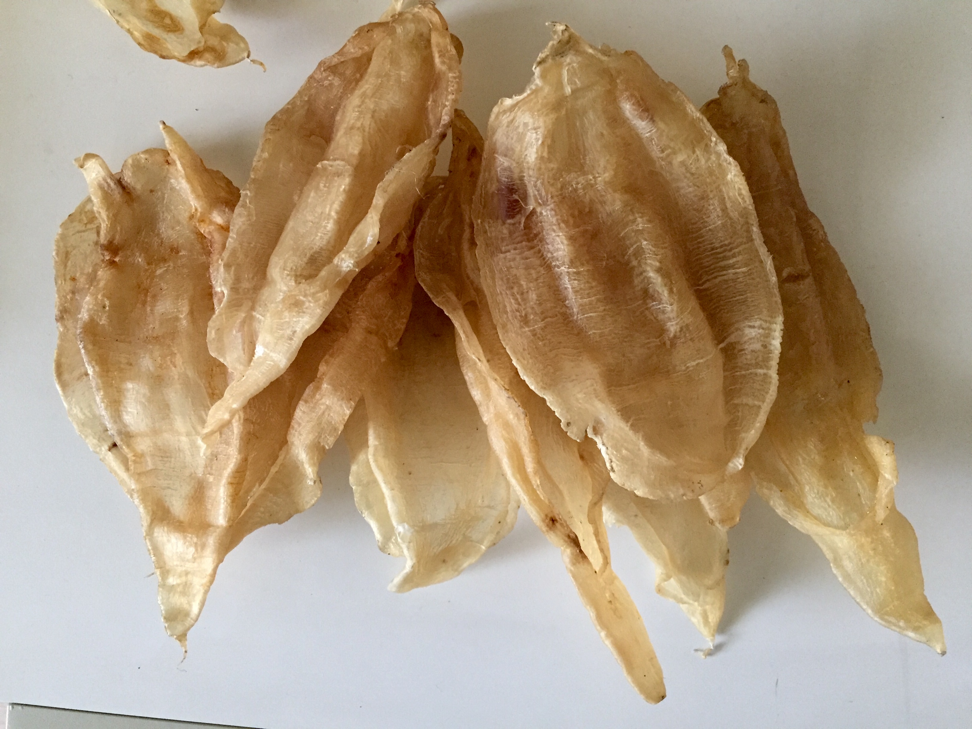 怎样挑选花胶最好,即食花胶是哪种花胶最好