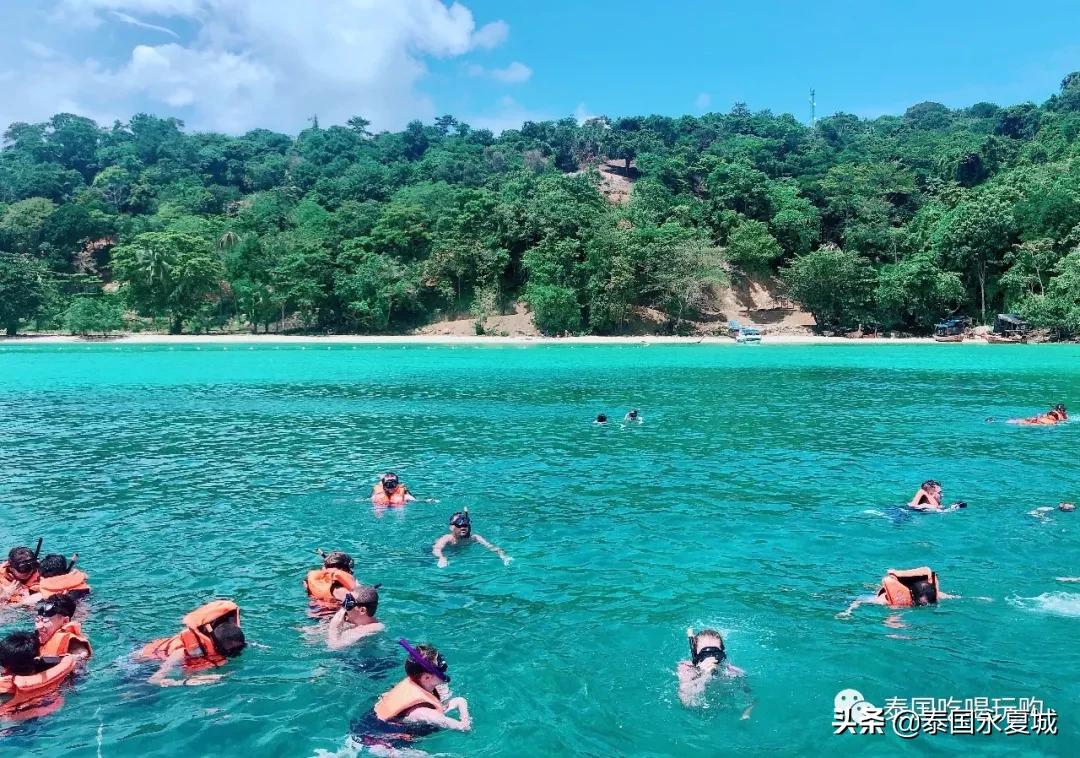 飞去热带的岛屿游泳,飞去热带的岛屿潜水