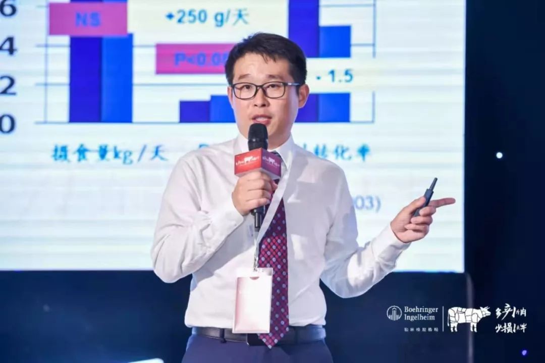 这一次，风口上站的是肉牛