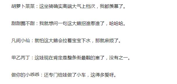 奶奶用大鹅玩娃,奶奶用大白鹅带娃