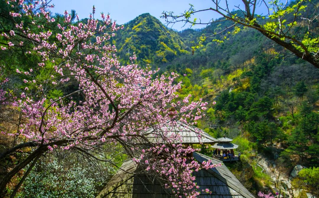 九如山冬日旅游,九如山旅游攻略一日游春季