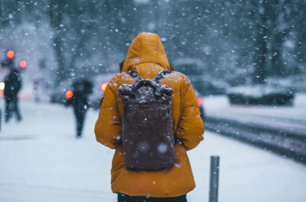 羽绒服含绒量90真假,羽绒服含绒量怎么选择