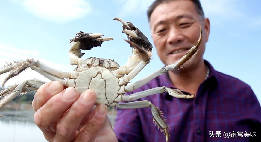 哪里的大闸蟹最正宗最好,最正宗的大闸蟹是哪里的
