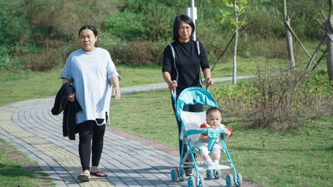 赏石艺、休闲游，这个体育公园都可以满足你！