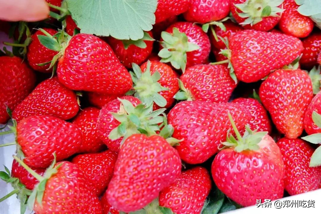 郑州万邦批发市场干货,最新最全郑州批发市场一览表