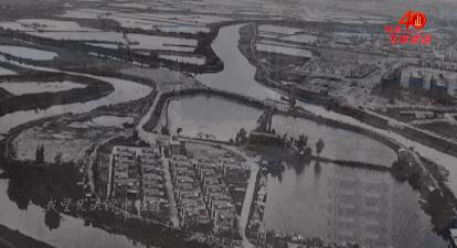 为你读诗叶小纲,为你读诗步入丛林