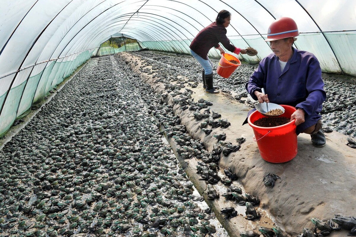 2022适合白手起家的10个创业项目,适合农村人创业的100个项目