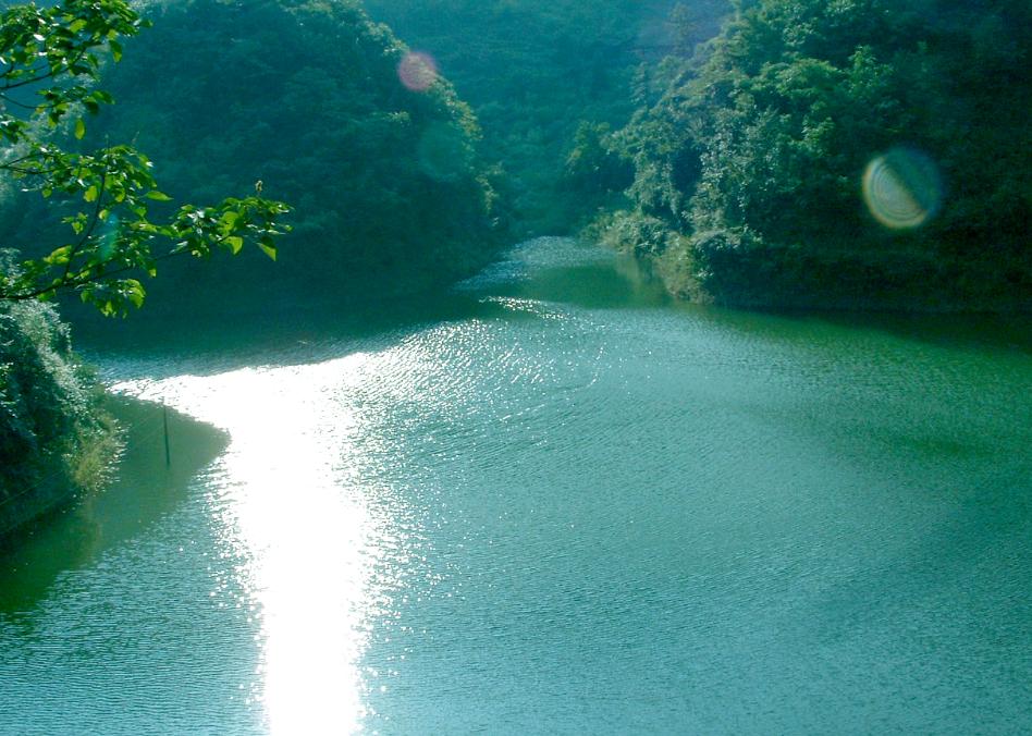 相约清凉避暑2日游！自驾醉美云雾仙境，贵州“香格里拉”