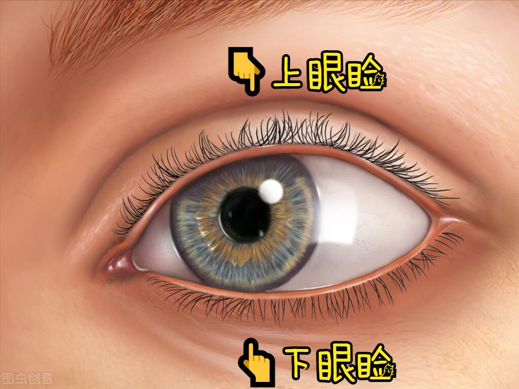 眼皮红痒肿起皮屑皱巴巴,眼皮老是痒用什么药