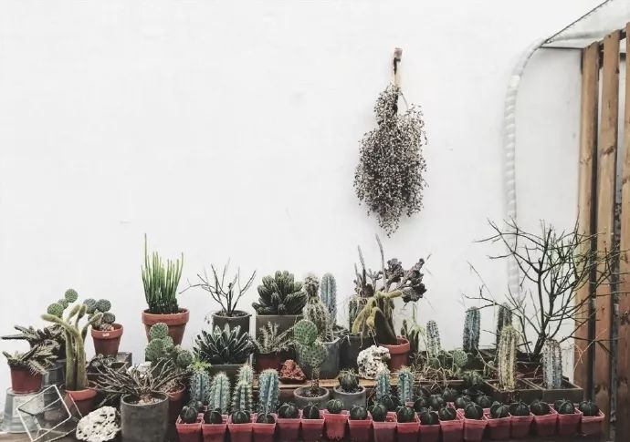 她辞去总监回家扶贫后续,她辞去总监回家扶贫结局