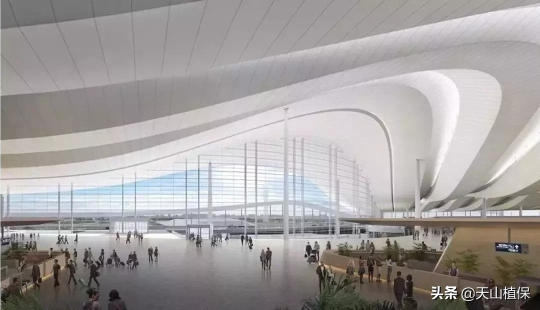 上榜啦！*疆新**鸟市和石市即将被国家命名！未来发展不可估量