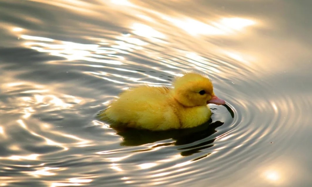 向往的大外|带你一起看大外