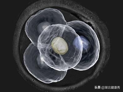 试管婴儿移植两次失败了什么原因,试管婴儿移植多次失败还有希望吗