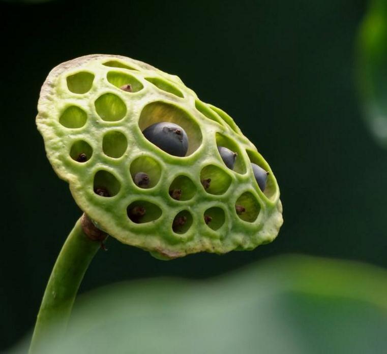 高僧说：人在红尘，这三件事看破别说破，才是真正地解脱，我懂了