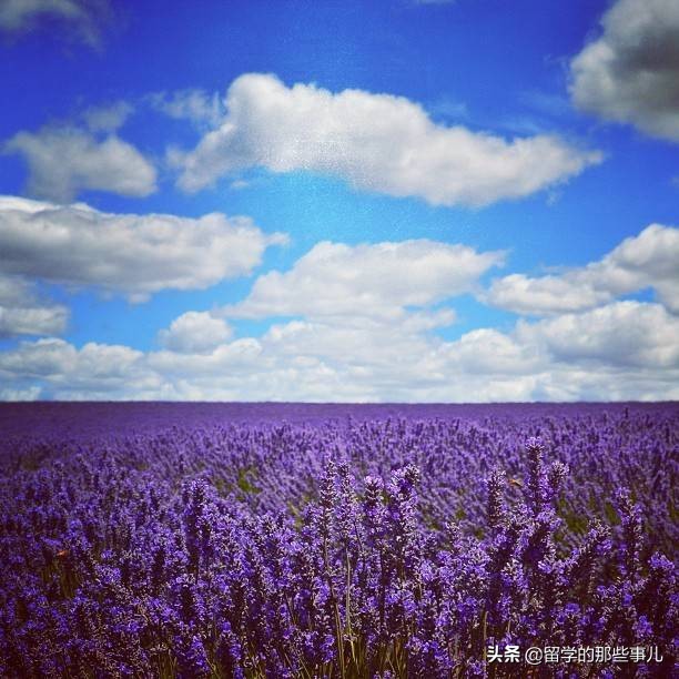 澳大利亚有哪些旅游胜地,澳大利亚有什么好玩的免费景点
