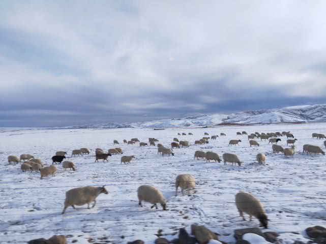 青海湖最美公路在哪,青海湖附近小众秘境