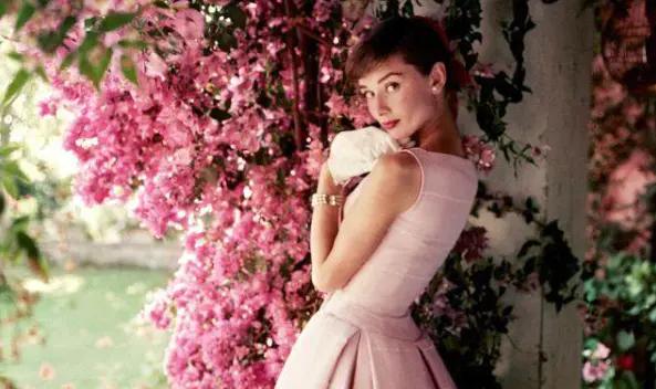 贵妇失踪案真相揭秘,贵妇死亡真相揭秘