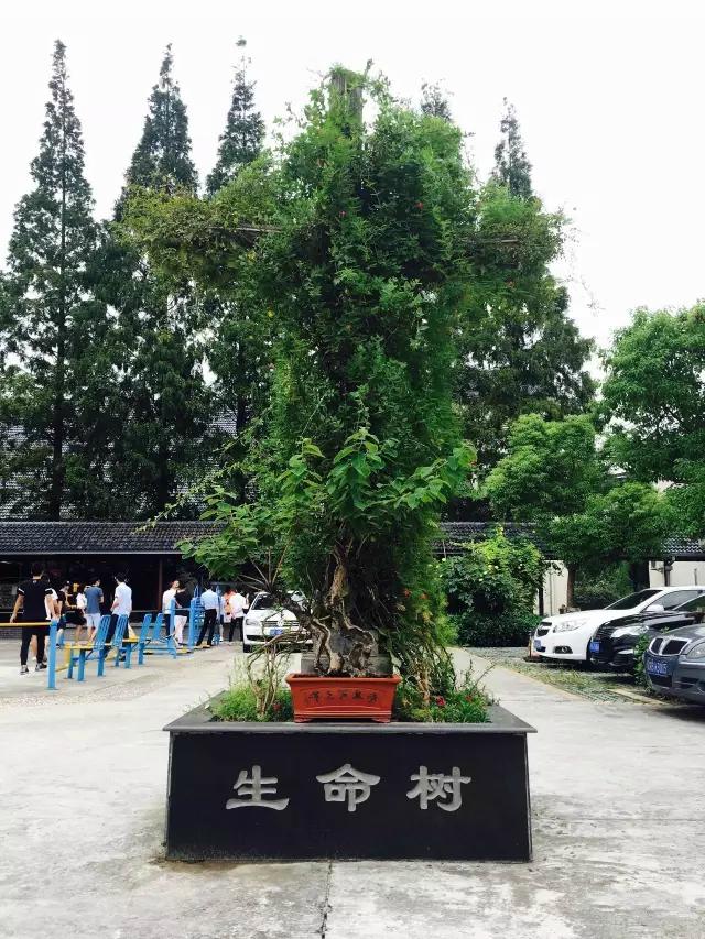 为何老了进养老院是最好的选择,当代年轻人老了以后选养老院标准