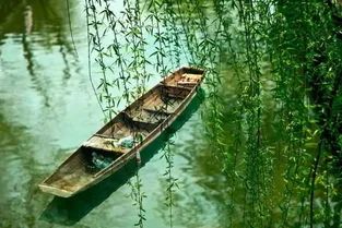 格力空调和海信空调性价比,为什么买空调都选格力的