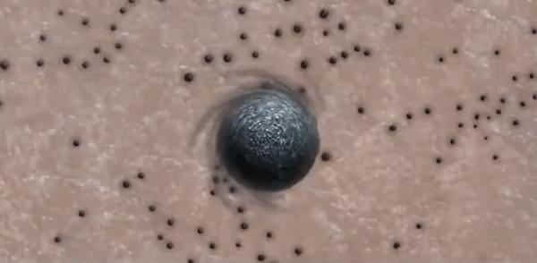 有黑头和没黑头有什么区别,没有长过黑头却长黑头怎么办