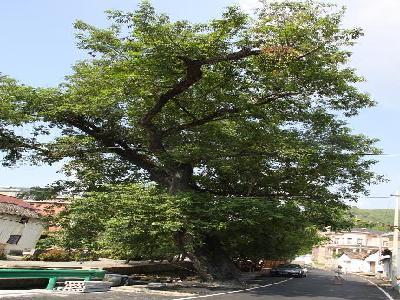 黄湖寒峡篇一一暑日送君一片清凉
