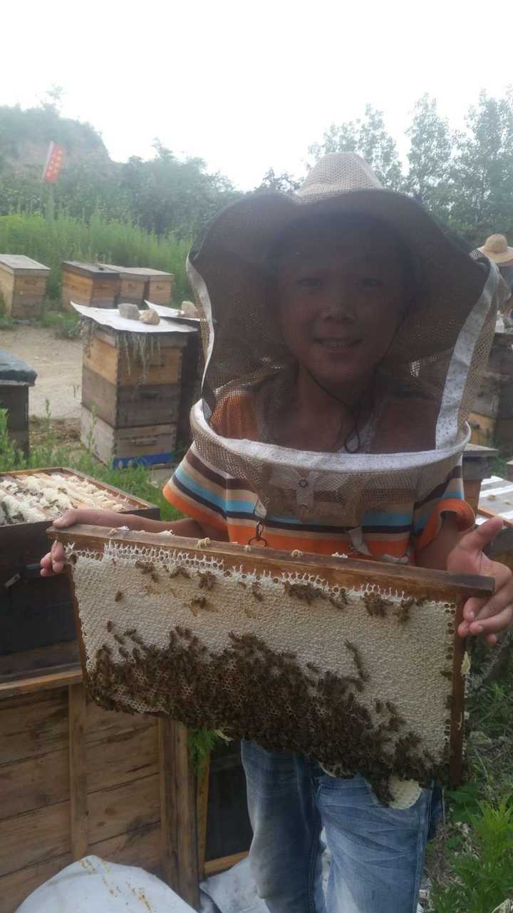 什么蜂蜜好，想买点给父母吃？