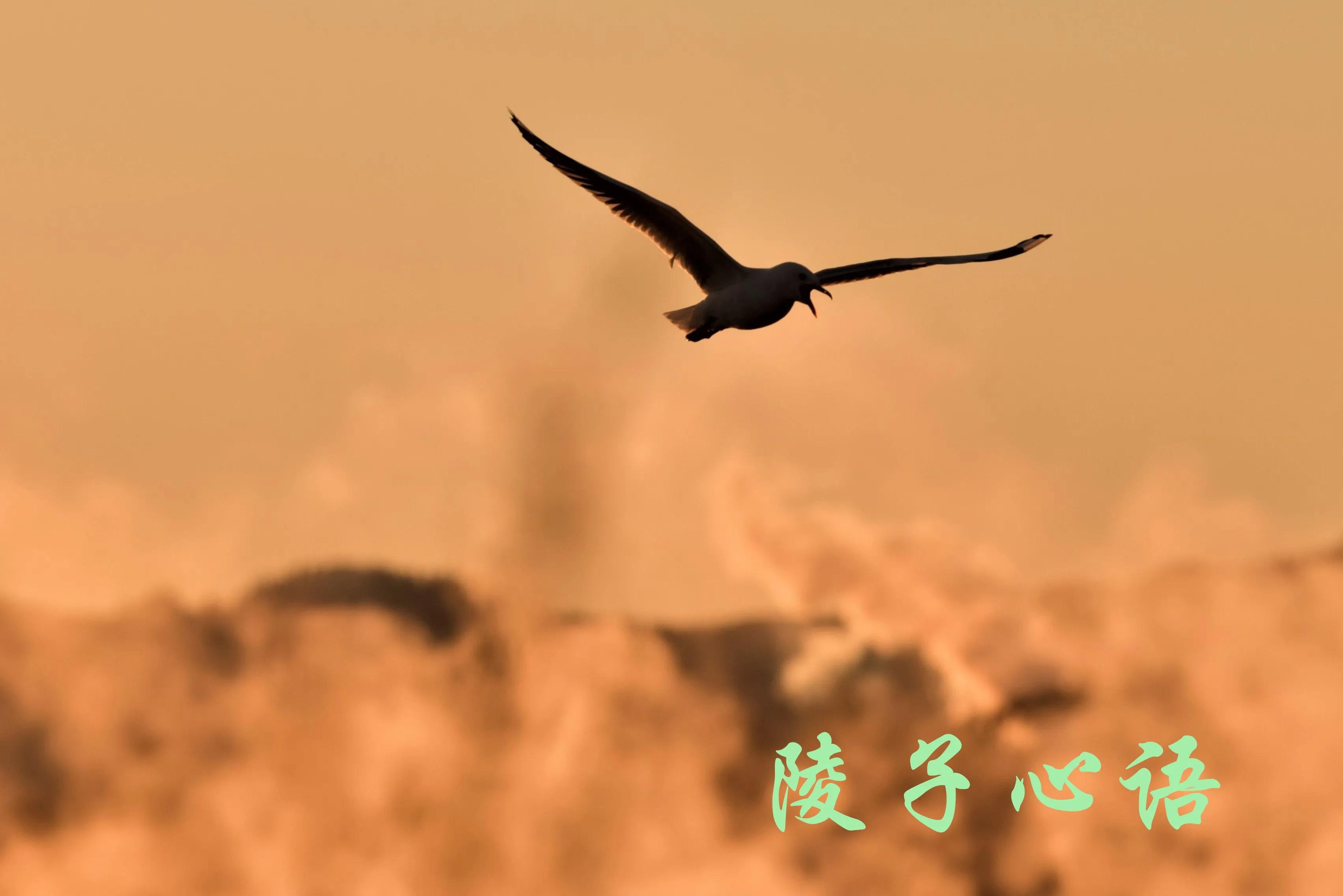 60后阿姨看牙经历：根管治疗后牙依然疼，持续一年不能用为什么？