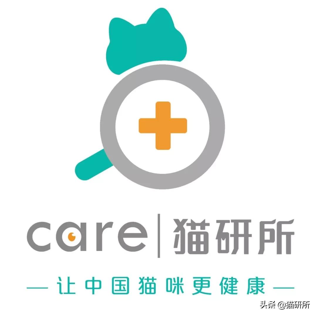 显微镜下的猫屎，竟然和这么多食物都撞脸？