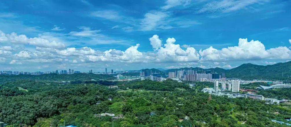 三大区域发展规划,三大战略四大目标