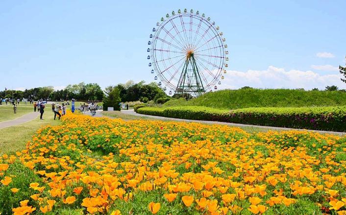 日本茨城观光之旅视频,从东京可以一日游去日本茨城玩