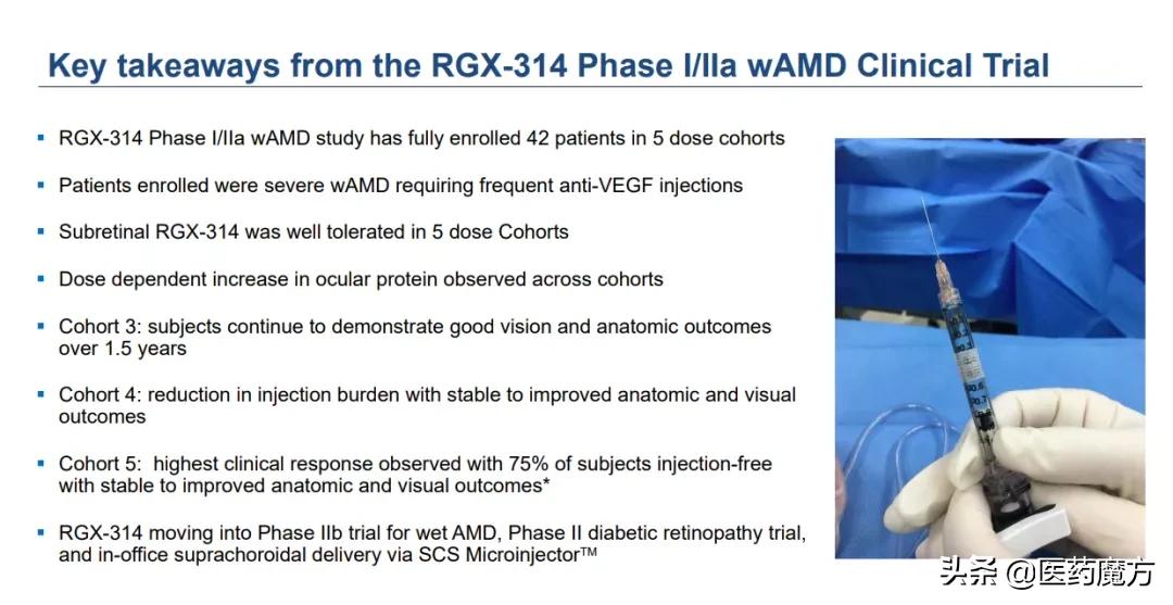 wAMD治疗有望只需注射一针！艾伯维17.5亿美元收购基因疗法