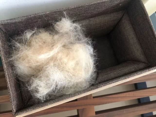 吸尘器遗珠||如此能打的保洁王者，我差点就错过了