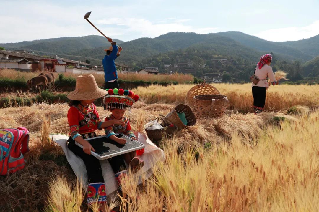 走向我们的小康生活微电影,走向我们的小康生活中国画