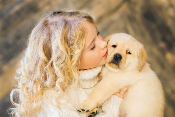 狗狗亲主人脸是什么意思,爱犬和狗接吻的危害