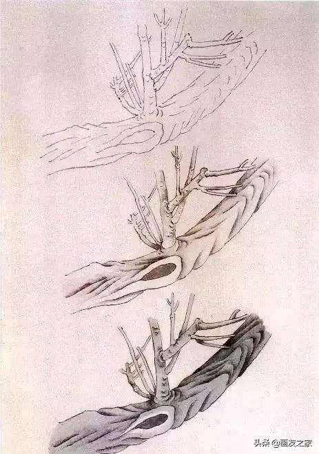 工笔梅花教学,工笔梅花设色技巧