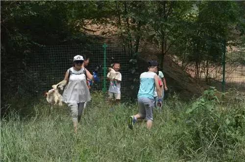 第13期·三年级作文《买书的经历》：香港迪士尼的图书馆