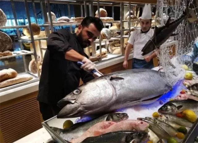 为什么迪拜人有钱,迪拜警方有多有钱