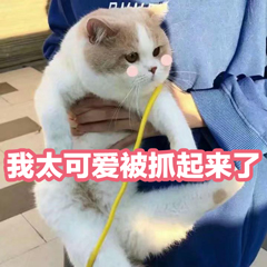 100套excel图表模板,excel表格库存模板全套