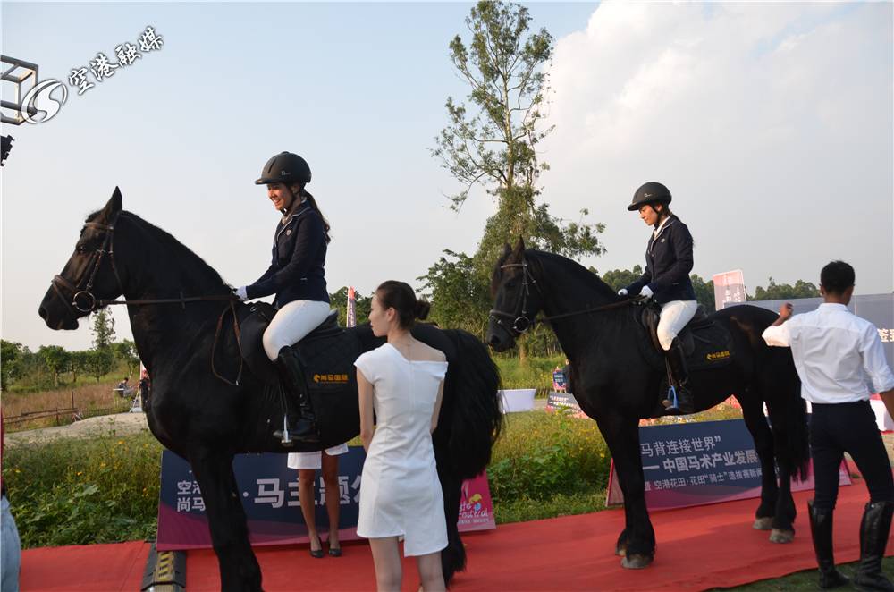 空港花田有什么特色,空港花田最好的地方