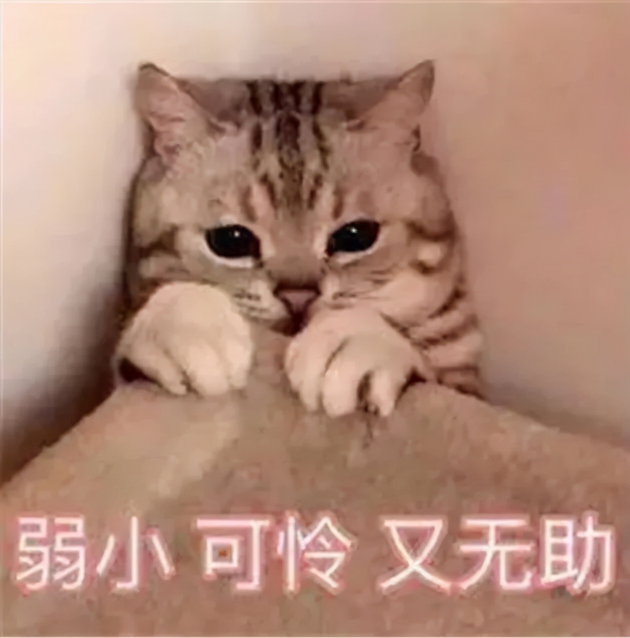 看完恐怖片如何睡个安稳觉,看了恐怖片如何立即入睡