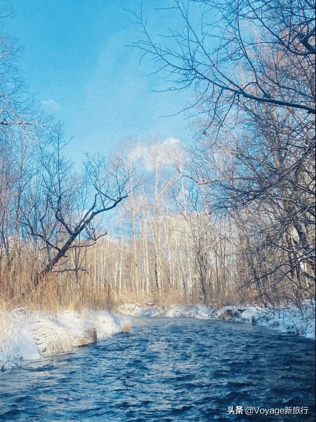 挑战21世纪最低温！我们为你盘点了比“泼水成冰”更美的冬日限定