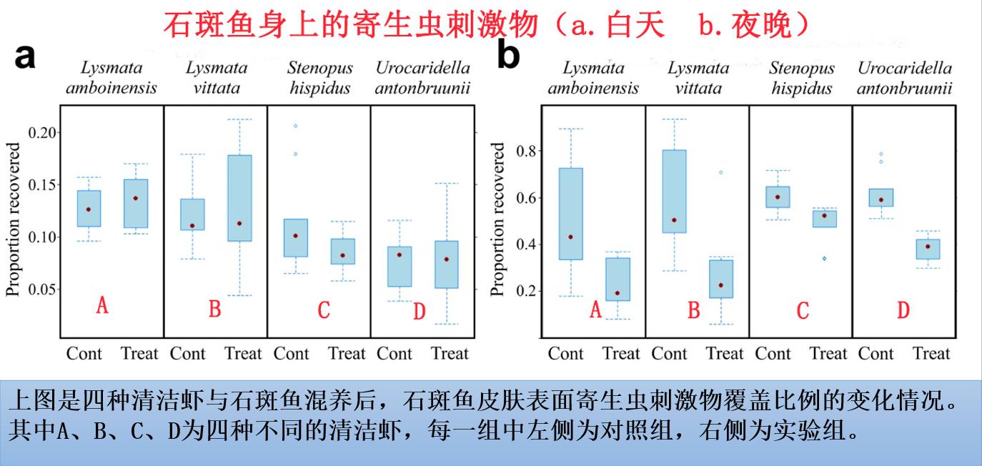 养殖石斑鱼有寄生虫,石斑鱼寄生虫防治方法