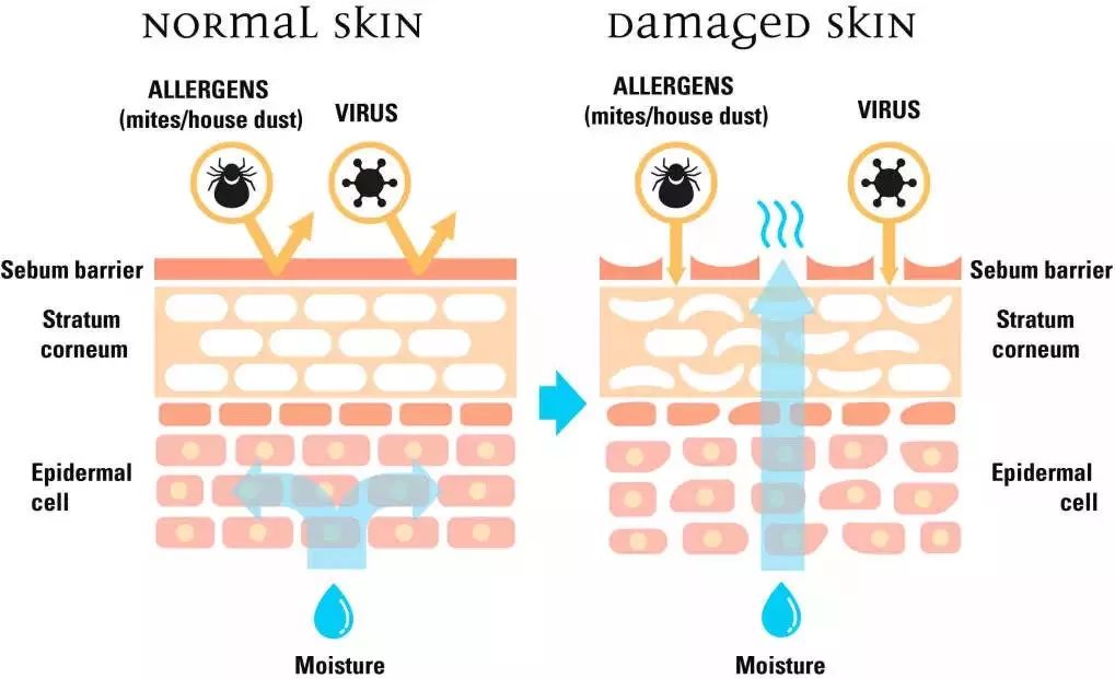 养儿未必防老,养儿不一定防老但自己一定很累