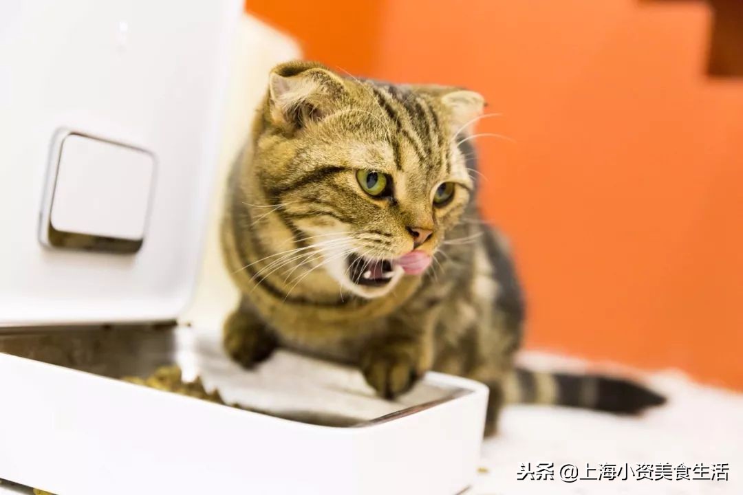 杩涘叆绾康纰戝康纰戣胺,杩涘叆绾康纰戣胺