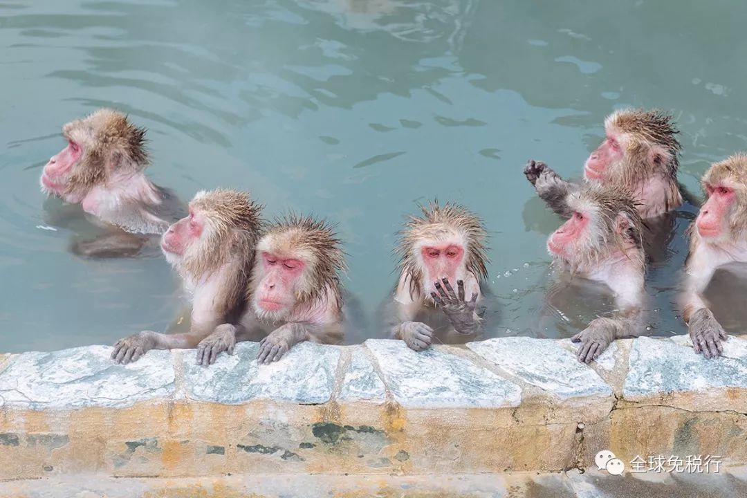 日本北海道旅游攻略英文,日本北海道旅游攻略学生