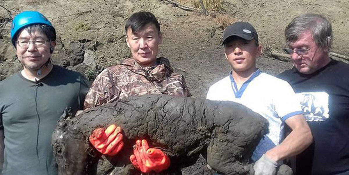 潘多拉动物盒子,潘多拉盒里面的黑色怪物