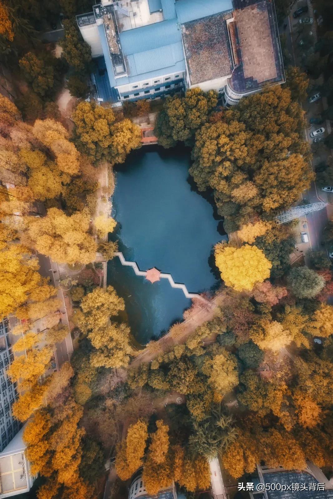 老斋舍、星湖、万林……武大，有名的不仅仅是公主楼